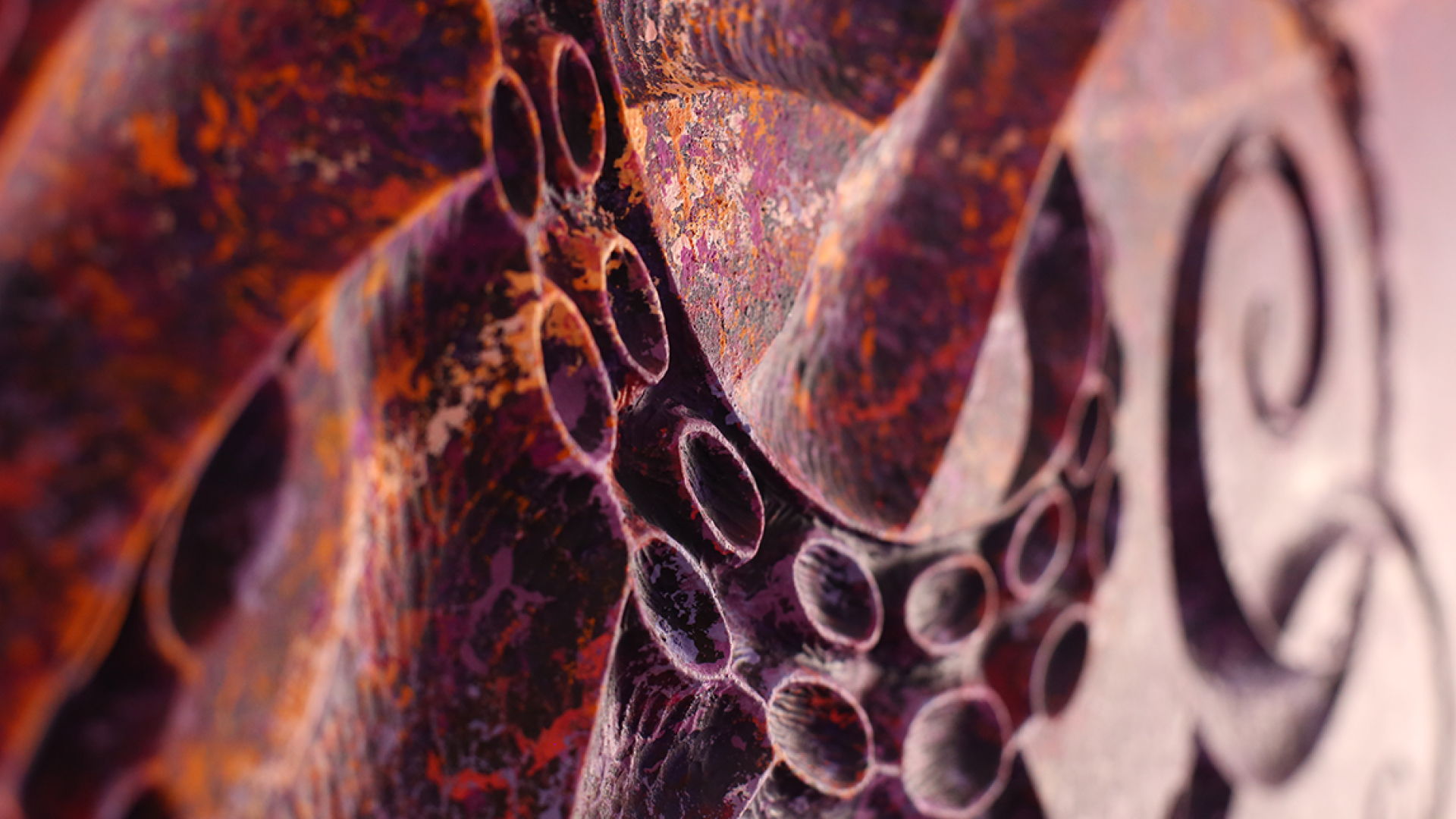 “Wild in the Shadows” by Rob Homan