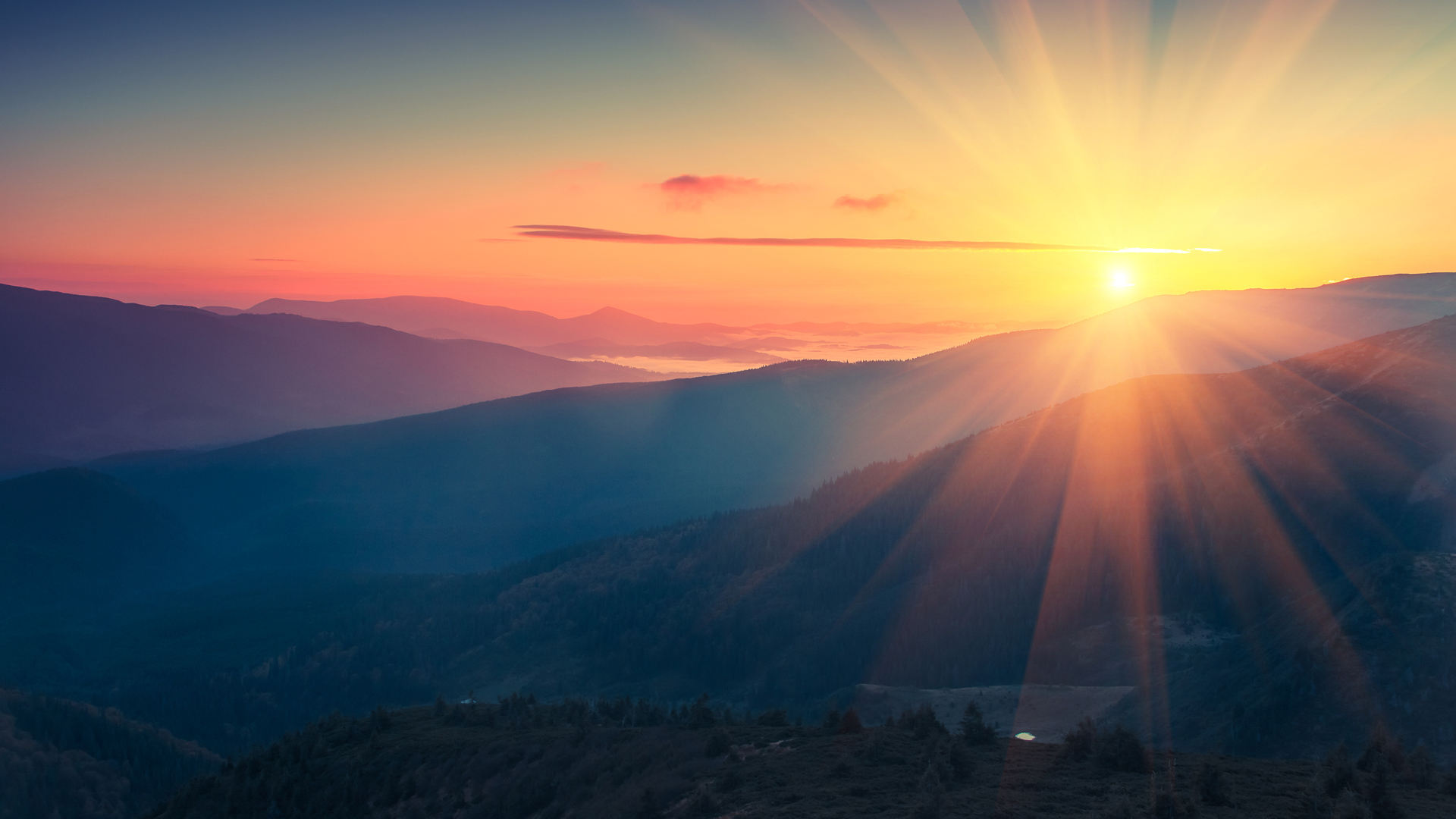 The Sun Will Rise Again – FREE
